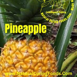 Pineapple Product